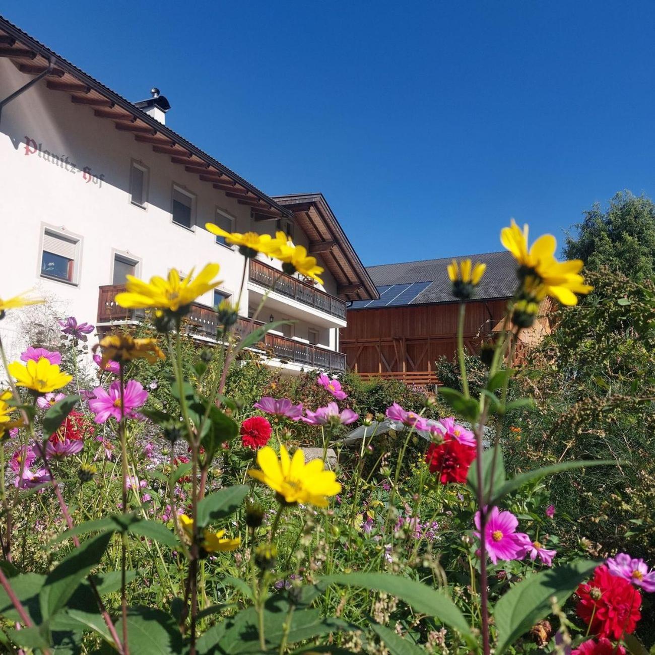 Planitzhof Vila Castelrotto Exterior foto